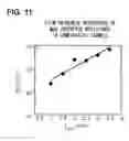 Fig. 12 - Spin injection source and manufacturing method thereof