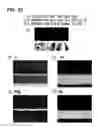 Fig. 17 - Spin injection source and manufacturing method thereof