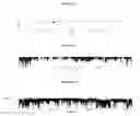 Fig. 03 - MOLECULAR DETECTION OF XMRV INFECTION