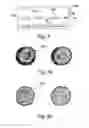 Fig. 07 - Assay Methods Using Array of Test Zones