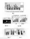 Fig. 06 - PROBE-ANTIPROBE COMPOSITIONS AND METHODS FOR DNA OR RNA DETECTION