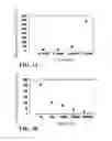 Fig. 03 - METHOD FOR DETECTING THE EXPRESSION OF CYCLIN B2 GENE BY REAL-TIME QUANTITATIVE PCR