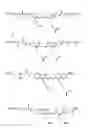 Fig. 01 - Functionalized cyanine dyes (PEG)