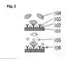 Fig. 02 - Method for detecting an antigen
