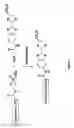 Fig. 02 - Bioluminescent Detection of Protease Activity