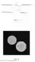 Fig. 03 - Synthetic polysaccharide microcarriers for culturing cells