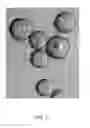 Fig. 09 - Synthetic polysaccharide microcarriers for culturing cells