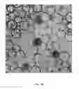 Fig. 14 - Synthetic polysaccharide microcarriers for culturing cells