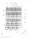 Fig. 02 - Semiconductor device manufacturing method