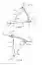Fig. 06 - High and low flyer ride