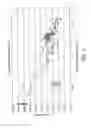 Fig. 04 - High transmittance glass