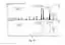 Fig. 07 - DNA Sequences Encoding Caryophyllaceae and Caryophyllaceae-Like Cyclopeptide Precursors and Methods of Use
