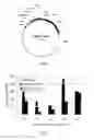 Fig. 11 - DNA Sequences Encoding Caryophyllaceae and Caryophyllaceae-Like Cyclopeptide Precursors and Methods of Use