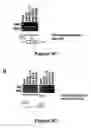 Fig. 06 - Method for diagnosing  acute lymphomic leukemia (ALL) using miR-125b