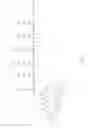 Fig. 12 - ACTIVE INGREDIENT-PEPTIDE CONSTRUCT FOR EXTRACELLULAR CONCENTRATION