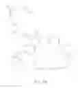 Fig. 19 - ACTIVE INGREDIENT-PEPTIDE CONSTRUCT FOR EXTRACELLULAR CONCENTRATION