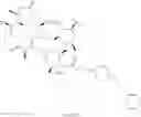 Fig. 45 - Macrolides with Anti-Inflammatory Activity