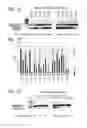 Fig. 02 - Method for efficient exon (44) skipping in duchenne muscular dystrophy and associated means