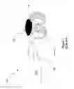 Fig. 02 - Disposable and detachable sensor for continuous non-invasive arterial blood pressure monitoring