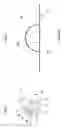 Fig. 03 - Skin marker