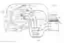 Fig. 01 - Navigation system for cardiac therapies