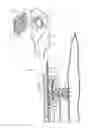 Fig. 02 - Adaptive floating flange for ostomy appliance
