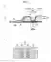 Fig. 04 - ABSORBENT ARTICLE AND METHOD FOR MANUFACTURING ABSORBENT ARTICLE