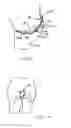 Fig. 03 - SANITARY PRODUCT