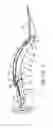 Fig. 02 - Double Offset Surgical Tool Handle Assembly Having A Locking Linkage Aligned Along Two Different Planes