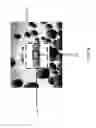 Fig. 06 - ADVERTISING DURING ACCELERATED MEDIA PLAYBACK