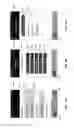 Fig. 15 - UNLIMITED MEDIA ACCESS OVER WIRELESS INFRASTRUCTURE
