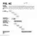 Fig. 06 - System and method for a hierarchical buffer system for a shared data bus