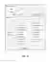 Fig. 33 - METHOD AND EQUIPMENT OF ASP SERVICE FOR MULTI-RESOLUTION IMAGE ON THE ENVIRONMENT OF MULTI-SERVER