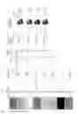 Fig. 10 - Digital domain content processing and distribution apparatus and methods