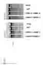 Fig. 03 - Methods and compositions for modification of a HLA locus