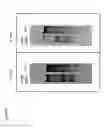 Fig. 11 - Methods and compositions for modification of a HLA locus