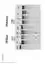 Fig. 13 - Methods and compositions for modification of a HLA locus