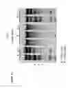 Fig. 17 - Methods and compositions for modification of a HLA locus