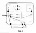 Fig. 02 - Nucleic acids and proteins associated with sucrose accumulation in coffee