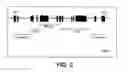 Fig. 05 - Nucleic acids and proteins associated with sucrose accumulation in coffee