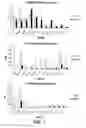 Fig. 10 - Nucleic acids and proteins associated with sucrose accumulation in coffee
