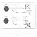 Fig. 12 - Auxin receptors