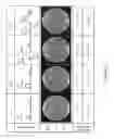 Fig. 04 - Method for enhancing thermotolerance of plant relating to exportin1A and genetic engineering applications thereof
