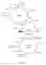 Fig. 07 - Method for enhancing thermotolerance of plant relating to exportin1A and genetic engineering applications thereof