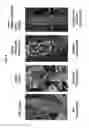 Fig. 06 - Activation tagging platform for maize, and resultant tagged populations and plants