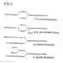 Fig. 07 - Method for secretory production of glycoprotein having human-type sugar chain using plant cell