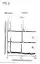Fig. 11 - Method for secretory production of glycoprotein having human-type sugar chain using plant cell