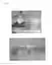 Fig. 03 - PRF IN CELL AND TISSUE CULTURE