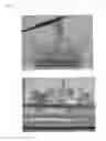 Fig. 04 - PRF IN CELL AND TISSUE CULTURE