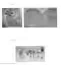 Fig. 10 - PRF IN CELL AND TISSUE CULTURE